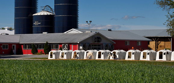 Afbeelding: Melkprijs Canada omhoog op verzoek van sector