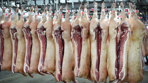 Afbeelding: Drie aanhoudingen wegens varkensvleesfraude